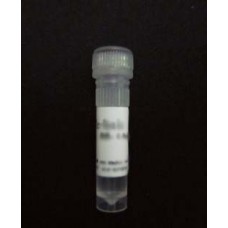 DNA Loading Green with high sensitive safe fluorescent nucleic acid dye